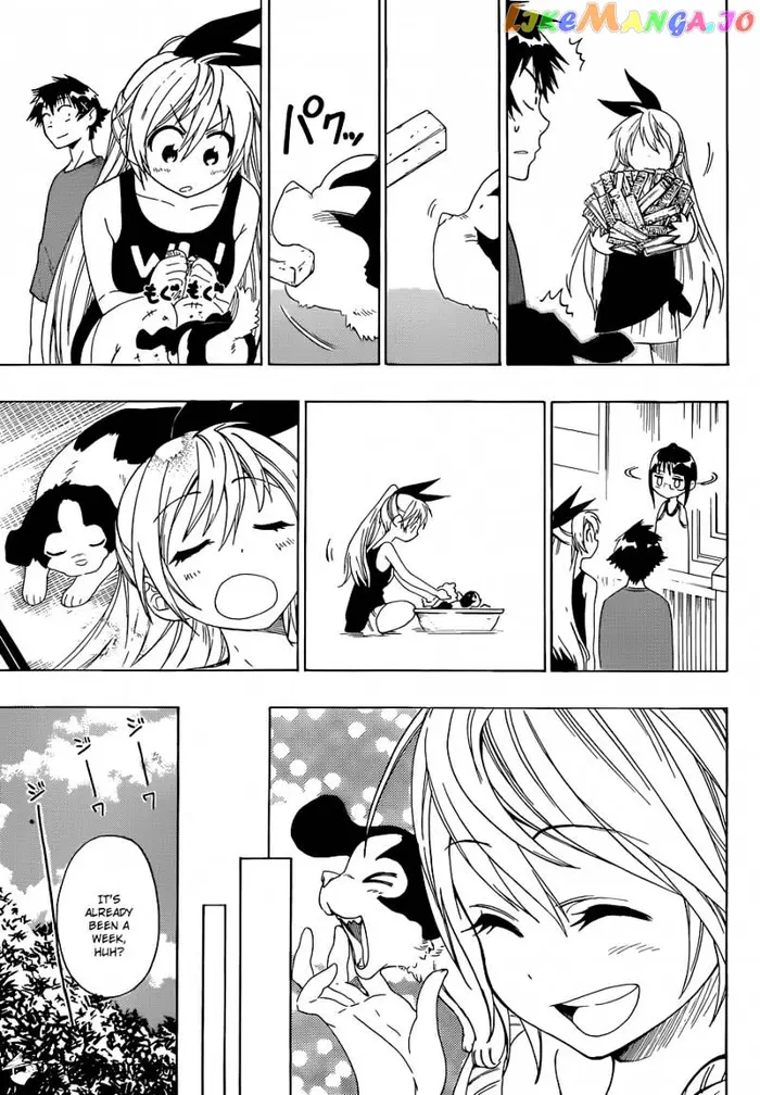 Nisekoi Chapter 41 image 14_optimized